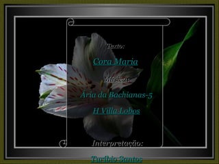 Texto: Cora Maria Música: Ária da Bachianas-5 H Villa Lobos Interpretação: Turíbio Santos 