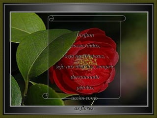 Dirijam vossas vidas, seja nas tristezas,  seja nas alegrias, sempre  derramando pétalas, assim como  as flores. 