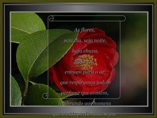 As flores, seja dia, seja noite, haja chuva, haja sol,  enviam para o ar que respiramos todo o perfume que contém, lembrando aos homens que a vida perfumada segue mais além. 