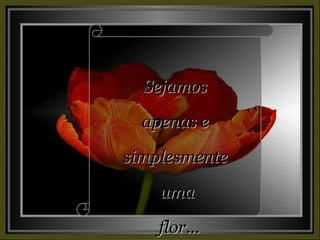 Sejamos  apenas e  simplesmente  uma flor... 