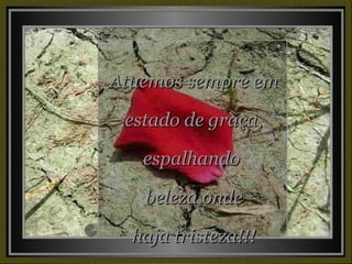 Atuemos sempre em estado de graça, espalhando  beleza onde haja tristeza!!! 