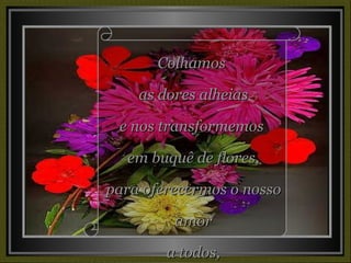Colhamos  as dores alheias e nos transformemos  em buquê de flores, para oferecermos o nosso amor a todos, com a mesma graça, beleza e cor. 