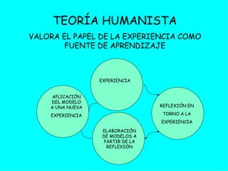 TEORÍA HUMANISTA VALORA EL PAPEL DE LA EXPERIENCIA COMO FUENTE DE APRENDIZAJE EXPERIENCIA REFLEXIÓN EN TORNO A LA EXPERIENCIA ELABORACIÓN DE MODELOS A PARTIR DE LA REFLEXIÓN APLICACIÓN DEL MODELO A UNA NUEVA EXPERIENCIA 