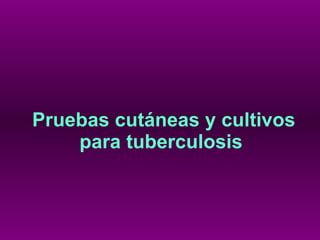 Pruebas cutáneas y cultivos para tuberculosis   
