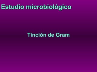 Estudio microbiológico Tinción de Gram 