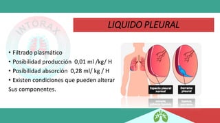 LIQUIDO PLEURAL
• Filtrado plasmático
• Posibilidad producción 0,01 ml /kg/ H
• Posibilidad absorción 0,28 ml/ kg / H
• Existen condiciones que pueden alterar
Sus componentes.
 