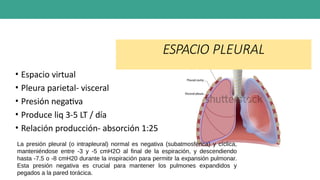 ESPACIO PLEURAL
• Espacio virtual
• Pleura parietal- visceral
• Presión negativa
• Produce liq 3-5 LT / día
• Relación producción- absorción 1:25
La presión pleural (o intrapleural) normal es negativa (subatmosférica) y cíclica,
manteniéndose entre -3 y -5 cmH2O al final de la espiración, y descendiendo
hasta -7.5 o -8 cmH20 durante la inspiración para permitir la expansión pulmonar.
Esta presión negativa es crucial para mantener los pulmones expandidos y
pegados a la pared torácica.
 
