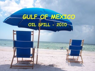 GULF OF MEXICO OIL SPILL - 2010 