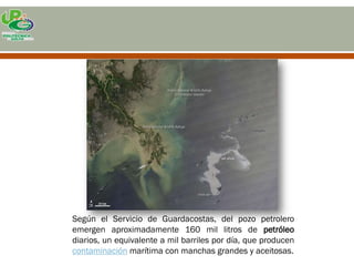 Según el Servicio de Guardacostas, del pozo petrolero
emergen aproximadamente 160 mil litros de petróleo
diarios, un equivalente a mil barriles por día, que producen
contaminación marítima con manchas grandes y aceitosas.
 
