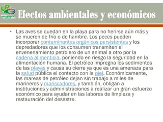 • Las aves se quedan en la playa para no herirse aún más y
  se mueren de frío o de hambre. Los peces pueden
  incorporar contaminantes orgánicos persistentes y los
  depredadores que los consumen transmiten el
  envenenamiento petrolero de un animal a otro por la
  cadena alimenticia, poniendo en riesgo la seguridad en la
  alimentación humana. El petróleo impregna los sedimentos
  de las playas y causa su cierre ya que es una amenaza para
  la salud pública el contacto con la piel. Económicamente,
  las mareas de petróleo dejan sin trabajo a miles de
  marineros y mariscadores, y también, obligan a
  instituciones y administraciones a realizar un gran esfuerzo
  económico para ayudar en las labores de limpieza y
  restauración del desastre.
 