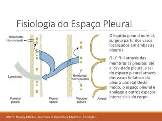 Fisiologia do Espaço Pleural
O líquido pleural normal,
surge a partir dos vasos
localizados em ambas as
pleuras.
O LP flui através das
membranas pleurais até
a cavidade pleural e sai
do espaço pleural através
dos vasos linfáticos da
pleura parietal Deste
modo, o espaço pleural é
análogo a outros espaços
intersticiais do corpo
FONTE: Murray &Nadels. Textbook of Respiratory Medicine. 5ª edição
 