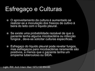 Culturas