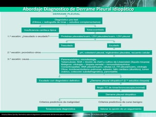 Abordaje Diagnostico de Derrame Pleural Idiopático
Victoria Villena Garrido, Normativa sobre el diagnóstico y tratamiento del derrame pleural. Actualización Arch Bronconeumol. 2014;50(6):235–249
 