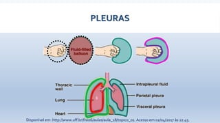 PLEURAS
6
Disponível em: http://www.uff.br/fisio6/aulas/aula_18/topico_01. Acesso em 02/04/2017 às 22:45.
 