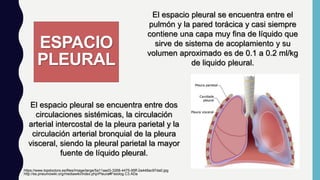 ESPACIO
PLEURAL
El espacio pleural se encuentra entre el
pulmón y la pared torácica y casi siempre
contiene una capa muy fina de líquido que
sirve de sistema de acoplamiento y su
volumen aproximado es de 0.1 a 0.2 ml/kg
de liquido pleural.
http://es.pneumowiki.org/mediawiki/index.php/Pleura#Fisiolog.C3.ADa
https://www.topdoctors.es/files/Image/large/5a11aad3-3268-4475-95ff-2a448ac97da0.jpg
El espacio pleural se encuentra entre dos
circulaciones sistémicas, la circulación
arterial intercostal de la pleura parietal y la
circulación arterial bronquial de la pleura
visceral, siendo la pleural parietal la mayor
fuente de líquido pleural.
 