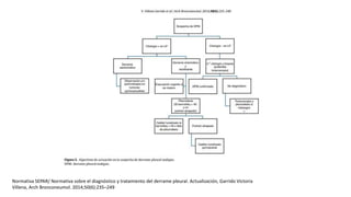 Normativa SEPAR/ Normativa sobre el diagnóstico y tratamiento del derrame pleural. Actualización, Garrido Victoria
Villena, Arch Bronconeumol. 2014;50(6):235–249
 