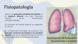 Fisiopatología
Existe una pequeña cantidad de líquido en
el espacio pleural. Las dos mucosas
actúan como membranas
semipermeables.
El volumen de líquido pleural es pequeño
(5-15 ml).
En condiciones normales, se produce una
entrada contínua de líquido a la cavidad
pleural que se va reabsorbiendo al mismo
ritmo, pero no en cantidades elevadas.
 