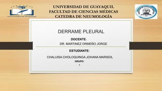 CHALUISA CHOLOQUINGA JOHANA MARISOL
GRUPO:
7
UNIVERSIDAD DE GUAYAQUIL
FACULTAD DE CIENCIAS MÉDICAS
CATEDRA DE NEUMOLOGÍA
ESTUDIANTE:
DOCENTE:
DR. MARTINEZ ORMEÑO JORGE
DERRAME PLEURAL
 