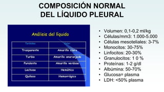 COMPOSICIÓN NORMAL
DEL LÍQUIDO PLEURAL
• Volumen: 0,1-0,2 ml/kg
• Células/mm3: 1.000-5.000
• Células mesoteliales: 3-7%
• Monocitos: 30-75%
• Linfocitos: 20-30%
• Granulocitos: 1 0 %
• Proteínas: 1-2 g/dl
• Albúmina: 50-70%
• Glucosa= plasma
• LDH: <50% plasma
 