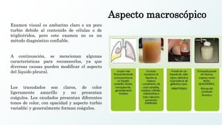 Aspecto macroscópico
Examen visual es ambarino claro o un poco
turbio debido al contenido de células o de
triglicéridos, pero este examen no es un
método diagnóstico confiable.
A continuación, se mencionan algunas
características para reconocerlos, ya que
diversas causas pueden modificar el aspecto
del líquido pleural.
Los trasudados son claros, de color
ligeramente amarillo y no presentan
coágulos. Los exudados presentan diferentes
tonos de color, con opacidad y aspecto turbio
variable; y generalmente forman coágulos.
 