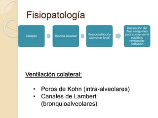 Fisiopatología
Colapso Hipoxia alveolar
Vasoconstricción
pulmonar local
Desviación del
flujo sanguíneo
para conservar el
equilibrio
ventilación-
perfusión
Ventilación colateral:
• Poros de Kohn (intra-alveolares)
• Canales de Lambert
(bronquioalveolares)
 