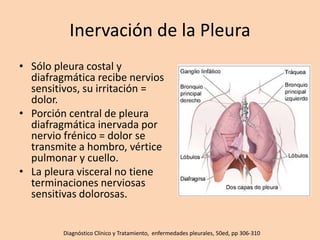 Inervación de la Pleura
• Sólo pleura costal y
diafragmática recibe nervios
sensitivos, su irritación =
dolor.
• Porción central de pleura
diafragmática inervada por
nervio frénico = dolor se
transmite a hombro, vértice
pulmonar y cuello.
• La pleura visceral no tiene
terminaciones nerviosas
sensitivas dolorosas.
Diagnóstico Clínico y Tratamiento, enfermedades pleurales, 50ed, pp 306-310
 