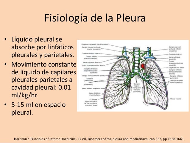 Derrame pleural y empiema