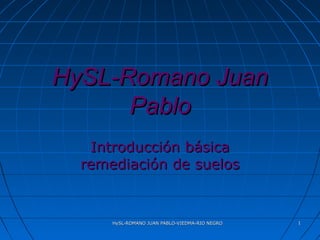 HySL-ROMANO JUAN PABLO-VIEDMA-RIO NEGROHySL-ROMANO JUAN PABLO-VIEDMA-RIO NEGRO 11
HySL-Romano JuanHySL-Romano Juan
PabloPablo
Introducción básicaIntroducción básica
remediación de suelosremediación de suelos
 