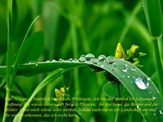 GRÜN sagte: „Natürlich bin ich die Wichtigste. Ich bin das Symbol für Leben und Hoffnung. Ich wurde auserwählt für alle Pflanzen,  für das Gras, die Bäume und die Blätter. Ohne mich würde alles sterben. Schaut euch nur in der Landschaft um und ihr werdet erkennen, das ich recht habe.“ 