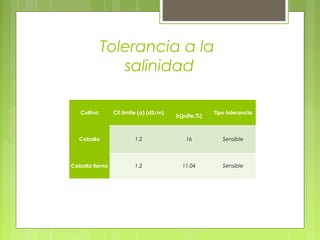 Tolerancia a la
salinidad
Cultivo CE límite (a) (dS/m)
b(pdte,%)
Tipo tolerancia
Cebolla 1.2 16 Sensible
Cebolla tierna 1.2 11.04 Sensible
 