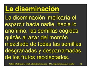 La diseminación
La diseminación implicaría el
esparcir hacia nadie, hacia lo
anónimo, las semillas cogidas
quizás al azar del montón
mezclado de todas las semillas
desgranadas y desparramadas
de los frutos recolectados.
 Rodolfo-J. Rodríguez-R. E-mail: rodolfor@cariari.ucr.ac.cr / U.R.L.: http://cariari.ucr.ac.cr/~rodolfor   112
 