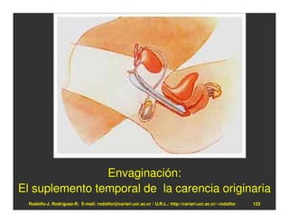 Envaginación:
El suplemento temporal de la carencia originaria
  Rodolfo-J. Rodríguez-R. E-mail: rodolfor@cariari.ucr.ac.cr / U.R.L.: http://cariari.ucr.ac.cr/~rodolfor   123
 