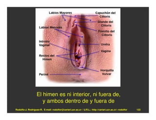 El himen es ni interior, ni fuera de,
                      y ambos dentro de y fuera de
Rodolfo-J. Rodríguez-R. E-mail: rodolfor@cariari.ucr.ac.cr / U.R.L.: http://cariari.ucr.ac.cr/~rodolfor   133
 