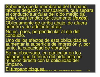 Sabemos que la membrana del tímpano,
tabique delgado y transparente, que separa
el conducto auricular del oído medio (la
caja), está tendido oblicuamente (loxôs).
Oblicuamente de arriba abajo, de afuera
adentro y de adelante atrás.
No es, pues, perpendicular al eje del
conducto.
Uno de los efectos de esta oblicuidad es
aumentar la superficie de impresión y, por
tanto, la capacidad de vibración.
Se ha observado, en particular en los
pájaros, que la finura del oído está en
relación directa con la oblicuidad del
tímpano.
El tímpano bizquea.
  Rodolfo-J. Rodríguez-R. E-mail: rodolfor@cariari.ucr.ac.cr / U.R.L.: http://cariari.ucr.ac.cr/~rodolfor   177
 
