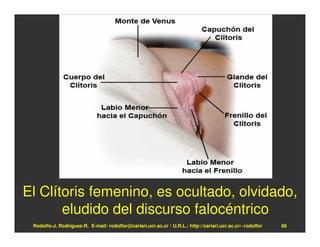 El Clítoris femenino, es ocultado, olvidado,
       eludido del discurso falocéntrico
 Rodolfo-J. Rodríguez-R. E-mail: rodolfor@cariari.ucr.ac.cr / U.R.L.: http://cariari.ucr.ac.cr/~rodolfor   66
 