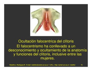 Ocultación falocentrica del clítoris
     El falocentrismo ha conllevado a un
desconocimiento y ocultamiento de la anatomía
   y funciones del clítoris, inclusive entre las
                    mujeres.
Rodolfo-J. Rodríguez-R. E-mail: rodolfor@cariari.ucr.ac.cr / U.R.L.: http://cariari.ucr.ac.cr/~rodolfor   73
 