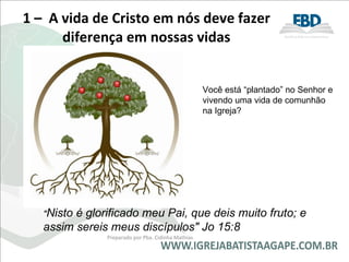 1 –   A vida de Cristo em nós deve fazer diferença em nossas vidas " Nisto é glorificado meu Pai, que deis muito fruto; e assim sereis meus discípulos" Jo 15:8 Preparado por Pba. Cidinha Mathias Você está “plantado” no Senhor e vivendo uma vida de comunhão na Igreja? 