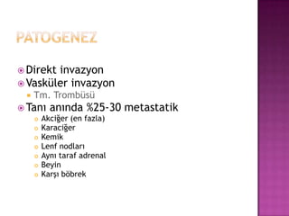  Direkt

invazyon
 Vasküler invazyon


Tm. Trombüsü

 Tanı anında %25-30
 Akciğer (en fazla)
 Karaciğer
 Kemik
 Lenf nodları
 Aynı taraf adrenal
 Beyin
 Karşı böbrek

metastatik

 
