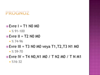 Evre


% 91-100

 Evre


III = T3 N0 M0 veya T1,T2,T3 N1 M0

% 59-70

 Evre


II = T2 N0 M0

% 74-96

 Evre


I = T1 N0 M0

IV = T4 N0,N1 M0 / T N2 M0 / T N M1

%16-32

 