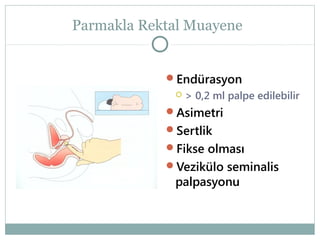 Parmakla Rektal Muayene
Endürasyon


> 0,2 ml palpe edilebilir

Asimetri
Sertlik
Fikse olması
Vezikülo seminalis

palpasyonu

 