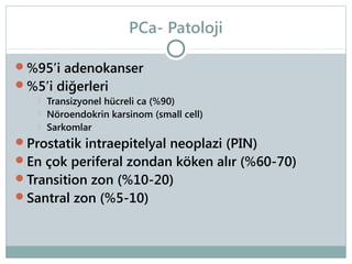 PCa- Patoloji
%95’i adenokanser
%5’i diğerleri




Transizyonel hücreli ca (%90)
Nöroendokrin karsinom (small cell)
Sarkomlar

Prostatik intraepitelyal neoplazi (PIN)
En çok periferal zondan köken alır (%60-70)
Transition zon (%10-20)
Santral zon (%5-10)

 