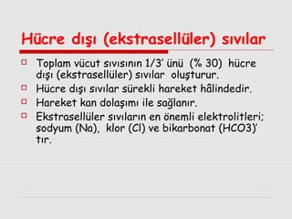 Hücre dışı (ekstrasellüler) sıvılar






Toplam vücut sıvısının 1/3’ ünü (% 30) hücre
dışı (ekstrasellüler) sıvılar oluşturur.
Hücre dışı sıvılar sürekli hareket hâlindedir.
Hareket kan dolaşımı ile sağlanır.
Ekstrasellüler sıvıların en önemli elektrolitleri;
sodyum (Na), klor (Cl) ve bikarbonat (HCO3)’
tır.

 
