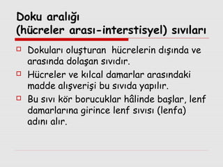 Doku aralığı
(hücreler arası-interstisyel) sıvıları






Dokuları oluşturan hücrelerin dışında ve
arasında dolaşan sıvıdır.
Hücreler ve kılcal damarlar arasındaki
madde alışverişi bu sıvıda yapılır.
Bu sıvı kör borucuklar hâlinde başlar, lenf
damarlarına girince lenf sıvısı (lenfa)
adını alır.

 