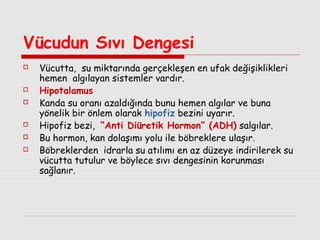 Vücudun Sıvı Dengesi









Vücutta, su miktarında gerçekleşen en ufak değişiklikleri
hemen algılayan sistemler vardır.
Hipotalamus
Kanda su oranı azaldığında bunu hemen algılar ve buna
yönelik bir önlem olarak hipofiz bezini uyarır.
Hipofiz bezi, “Anti Diüretik Hormon” (ADH) salgılar.
Bu hormon, kan dolaşımı yolu ile böbreklere ulaşır.
Böbreklerden idrarla su atılımı en az düzeye indirilerek su
vücutta tutulur ve böylece sıvı dengesinin korunması
sağlanır.

 