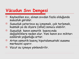 Vücudun Sıvı Dengesi










Kaybedilen sıvı, alınan sıvıdan fazla olduğunda
susuzluk görülür.
Susuzluk yeterince su içmemek, çok terlemek,
kusmak ya da diyare (ishal) sonucu olabilir.
Susuzluk kanın osmotik basıncında
değişikliklere neden olur. Yani kanın sıvı miktarı
azalarak yoğunluğu artar.
Artan osmotik basınç hipotalamustaki susama
merkezini uyarır.
Vücut su içmeye yönlendirilir.

 