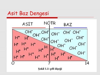 Asit Baz Dengesi

 