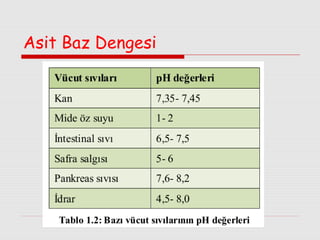 Asit Baz Dengesi

 