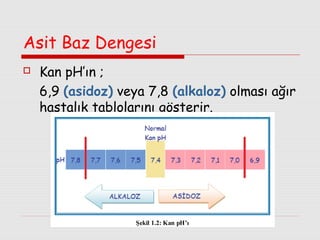 Asit Baz Dengesi


Kan pH’ın ;
6,9 (asidoz) veya 7,8 (alkaloz) olması ağır
hastalık tablolarını gösterir.

 