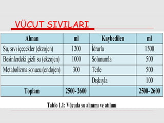 VÜCUT SIVILARI

 