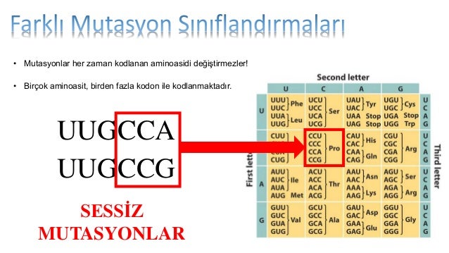 Sessiz mutasyon Sessiz mutasyon